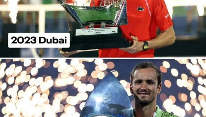 有心栽花花不开，无心插柳柳成荫，贺梅总迪拜双冠！